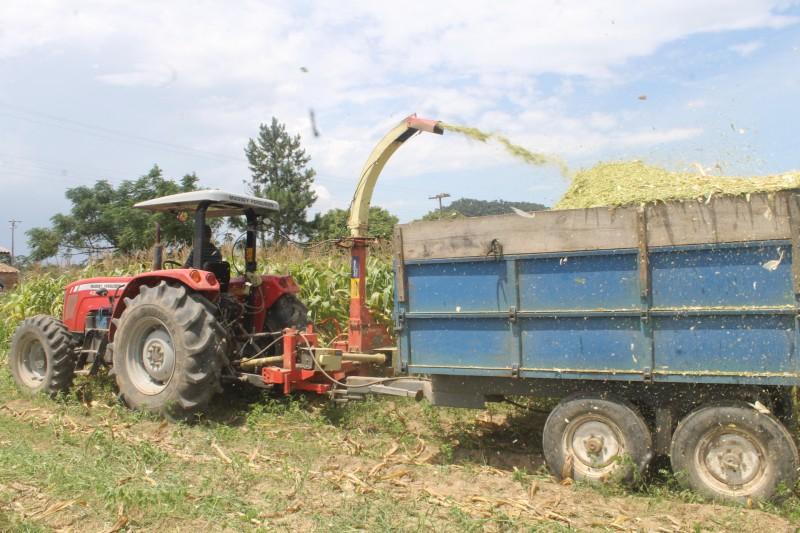 Prefeitura de Maracajá auxilia agricultores na produção de silagem