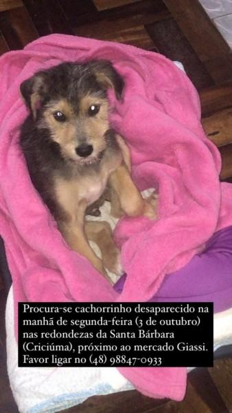 Procura-se Martin