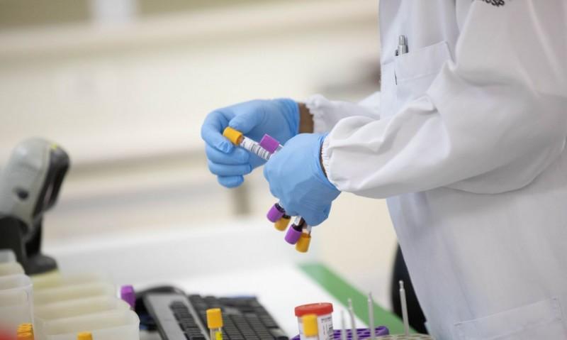 Malária: casos no Brasil estão em queda, afirma infectologista