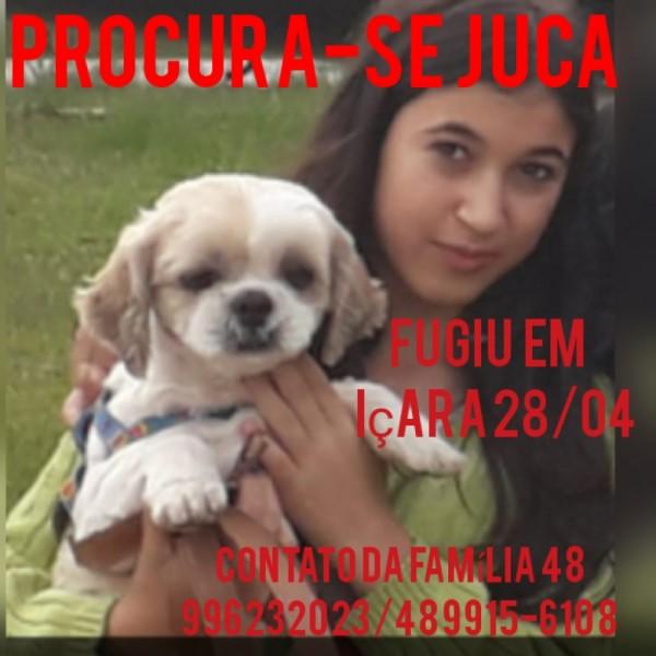 Procura-se Juca