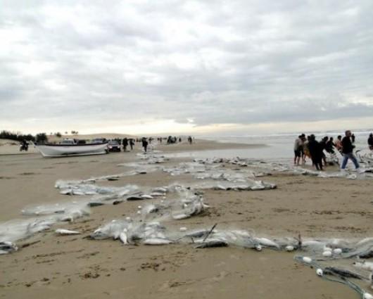 Pescadores aguardam até 15 de maio para iniciar a captura das tainhas
