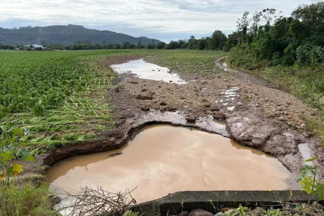 Chuvas provocam mais de R$ 50 milhões em prejuízos para agricultores do Sul de SC