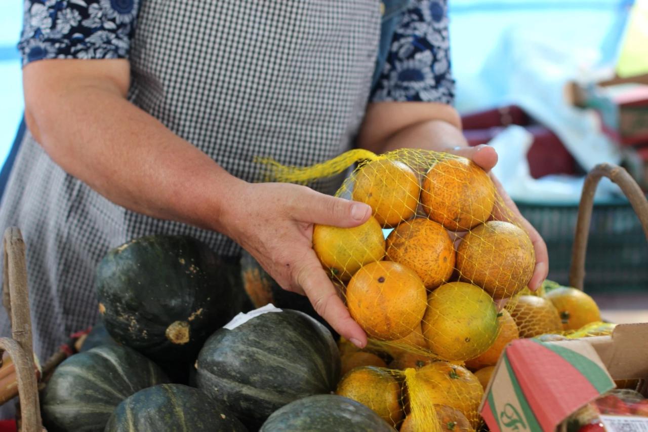 Feira da agricultura familiar de Criciúma é boa opção para comprar produtos direto do campo