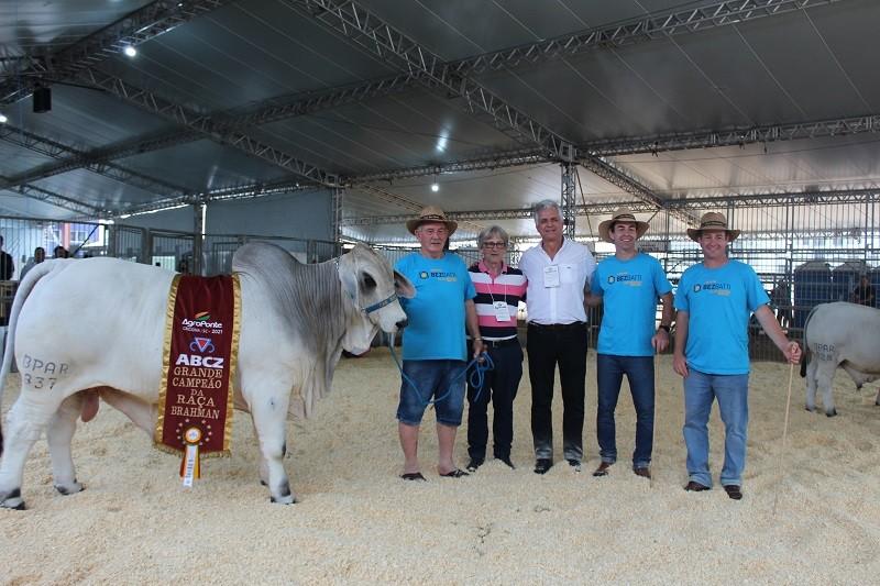 Raça Zebuína Brahman é destaque em julgamento na 10ª Feira AgroPonte