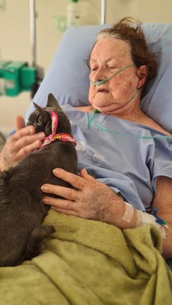 Equipe multidisciplinar e familiares promovem encontro de paciente com gata de estimação