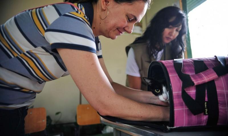 Pesquisa investiga transmissão de Covid-19 entre humanos e animais