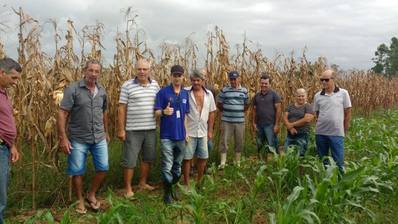 Custos da produção de milho e fertilidade do solo são temas de debate