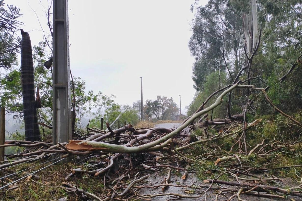 Sobe para seis o número de municípios catarinenses em situação de emergência após temporais