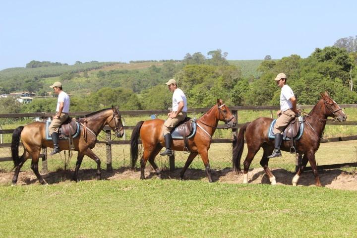 Aperfeiçoando a prática de andar sobre quatro patas