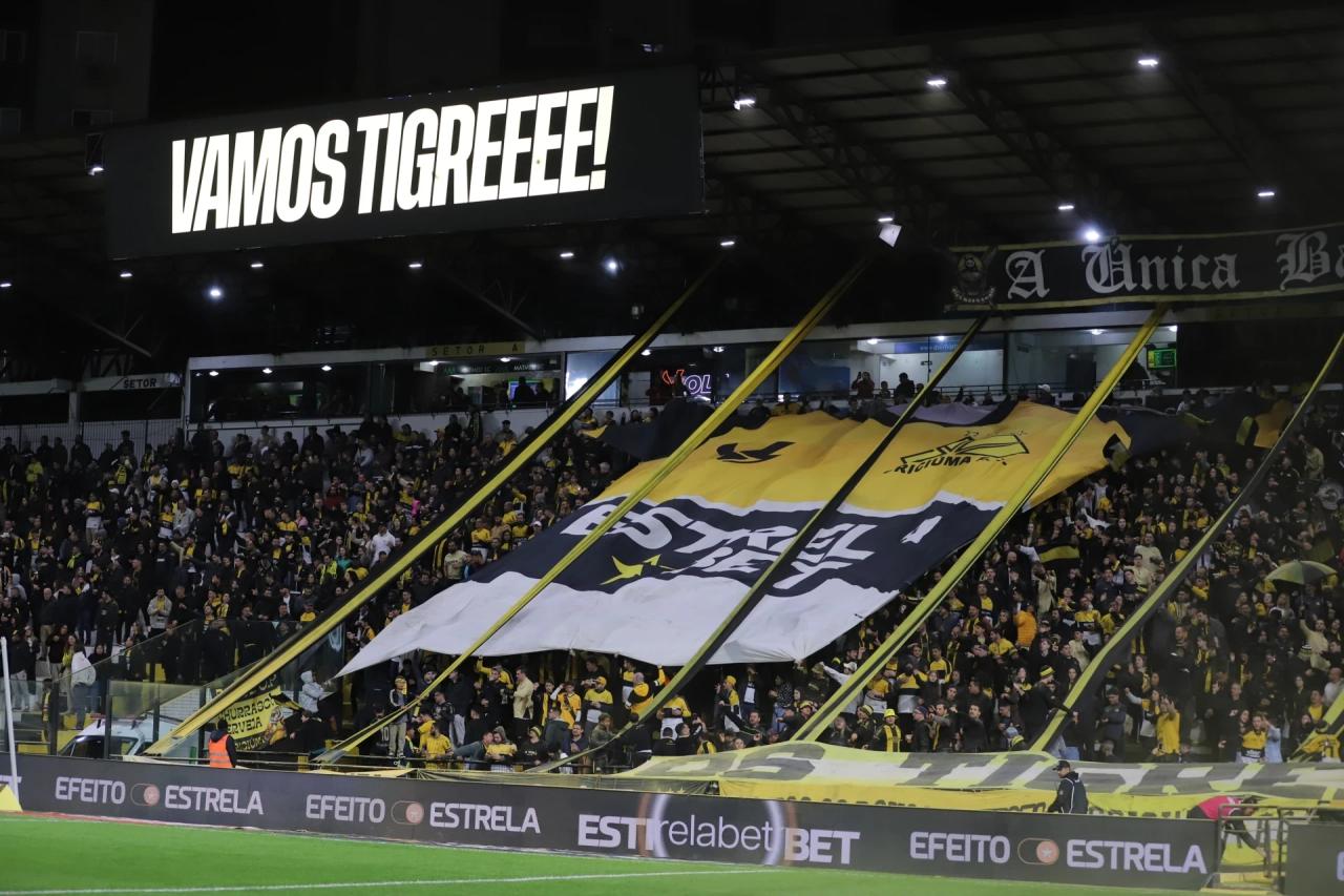 Novo app do Criciúma Esporte Clube alcança quase 6 mil torcedores em menos de um mês