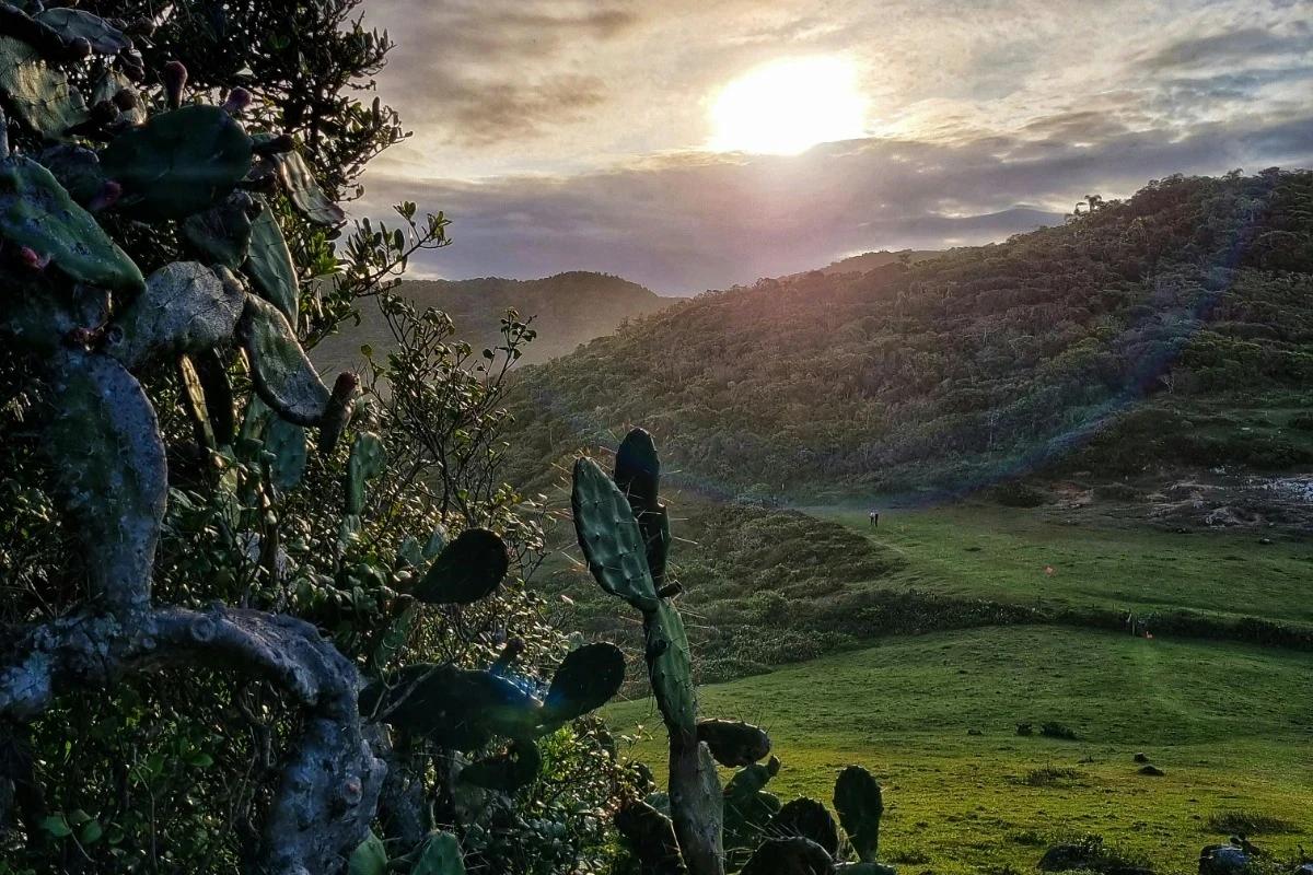 Sol e temporais isolados: saiba a previsão do tempo para o último sábado de janeiro no Sul catarinense