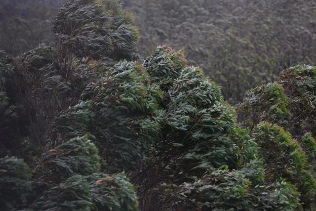 Chuva e rajadas provocam danos em municípios de Santa Catarina