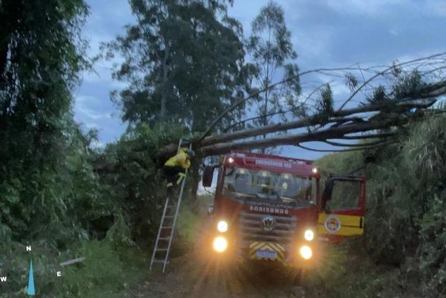 Após forte chuva, Defesa Civil atualiza balanço de danos dos municípios de Santa Catarina