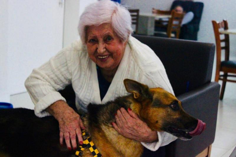 Encontro entre idosos e cachorros traz sorrisos, bem-estar e diversão 