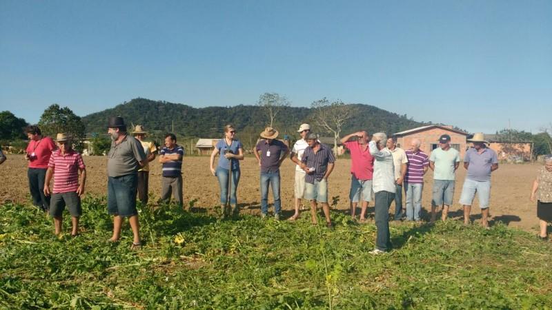 Adubação verde e plantio direto de milho na pauta de Tarde de Campo