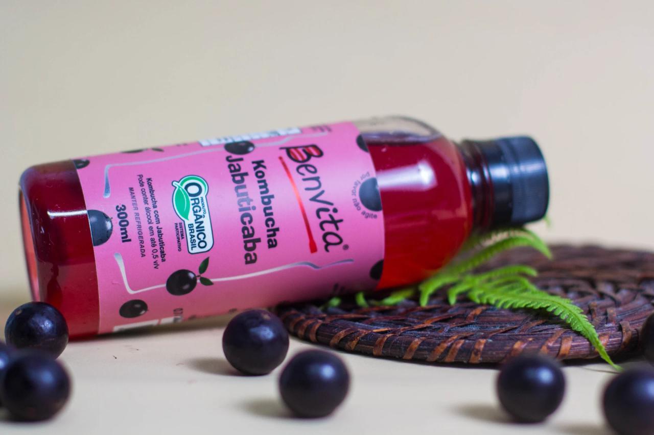 Benvita Kombucha o ano inteiro: descubra os benefícios para a sua saúde
