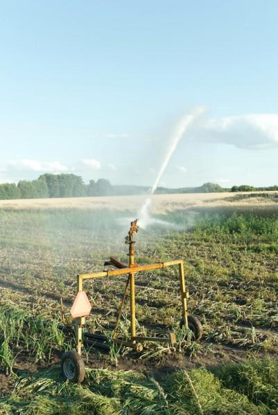 Celesc inicia recadastramento para consumidores rurais com benefício de Irrigação e Aquicultura