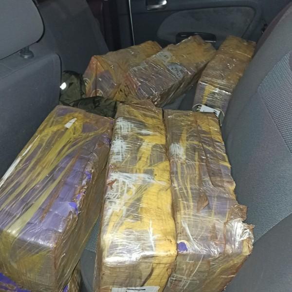 Mais de 280 quilos de maconha são apreendidos após motorista tentar atropelar policial na BR-101