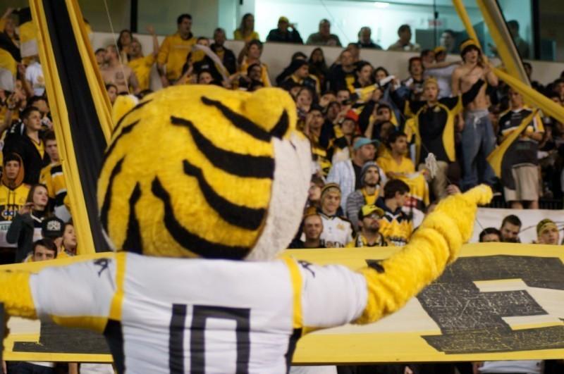Tigre faz promoção para jogo de despedida do Estadual