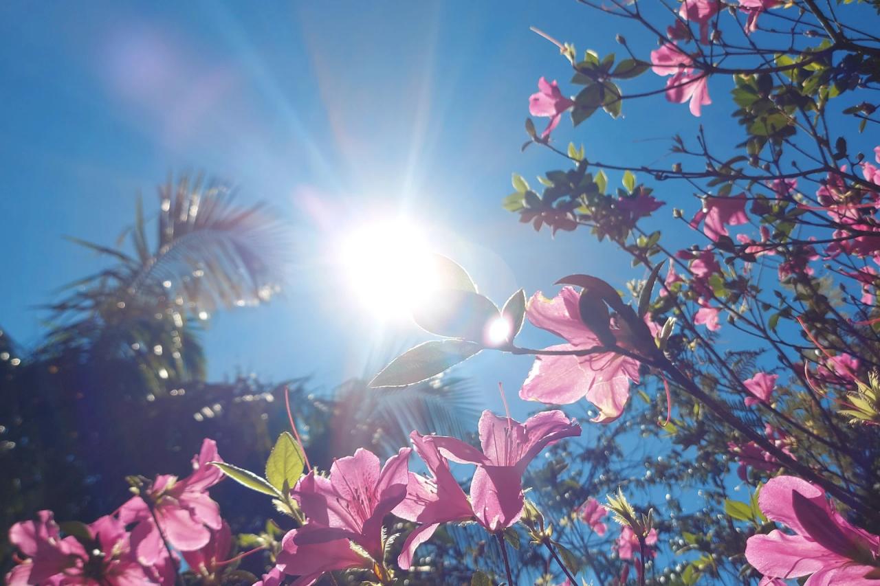 Última semana de fevereiro será de calor intenso e temperaturas de quase 40°C