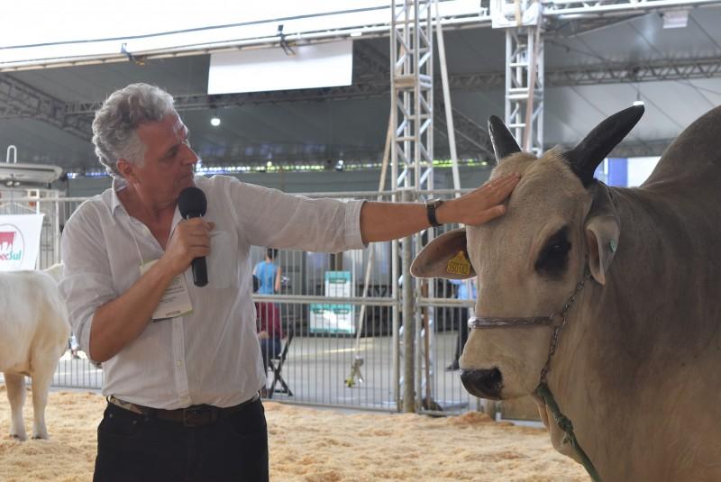 Evento fala sobre dez raças bovinas na AgroPonte; veja galeria de fotos