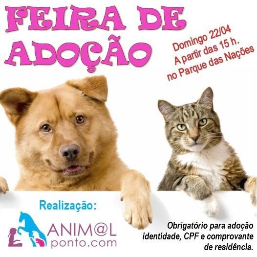 Animal para doação - Feira De Adoção De Animais