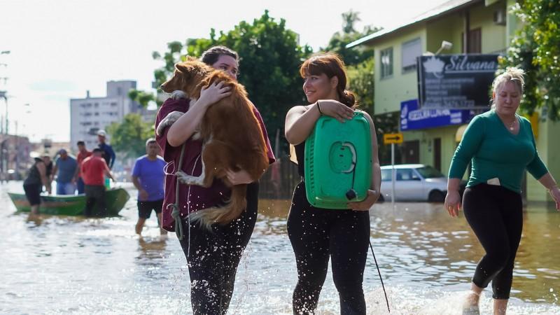 Mais de 80 mil pessoas estão desabrigadas no Rio Grande do Sul