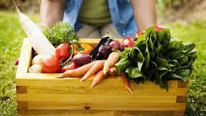 Morro da Fumaça: Iniciativa leva alimentação saudável a famílias e beneficia a agricultura familiar