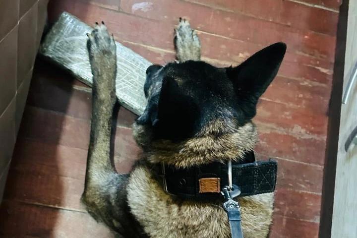 Criciúma: homens são presos por tráfico após tentarem fugir e esconder drogas em telhado; veja fotos e vídeo
