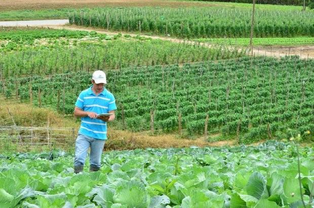 Epagri oferece canal de assistência técnica remota para agricultores