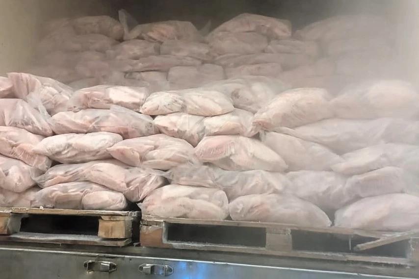 PRF localiza camarão argentino contrabandeado escondido em carga de peixe na BR-101