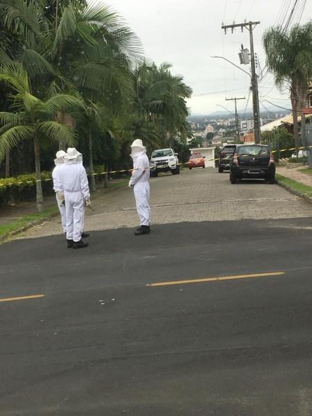 Homem é conduzido ao hospital após ataque de abelhas em Criciúma