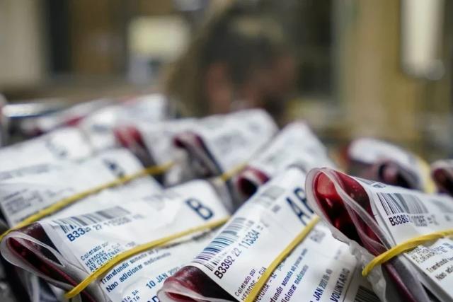Com novos critérios para doação, Hemosc registra aumento na coleta de sangue