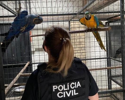 Polícia Civil deflagra a Operação Bioma em combate ao tráfico de animais silvestres em SC