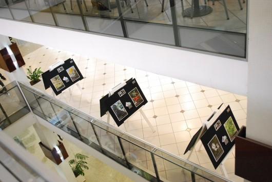 Árvores Nativas pode ser visitada no Shopping Della