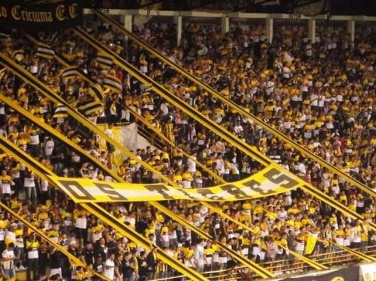 Tigre lança promoção de ingressos para o jogo decisivo deste sábado