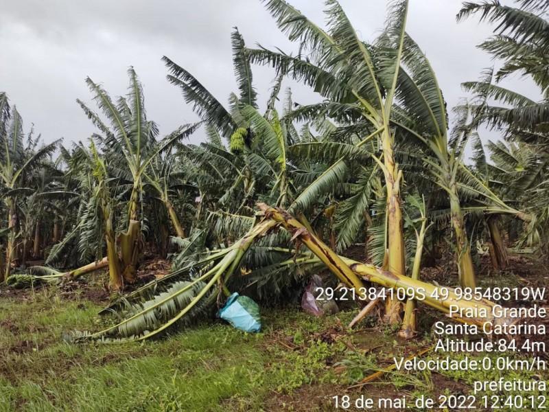 Ciclone Yakecan: prejuízos na agricultura de Praia Grande podem ultrapassar os R$ 5 milhões