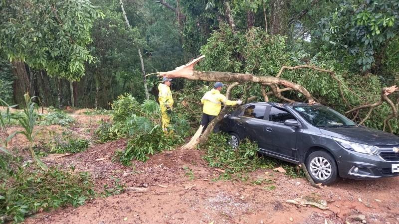 Árvore cai durante temporal e atinge carro em Cocal do Sul