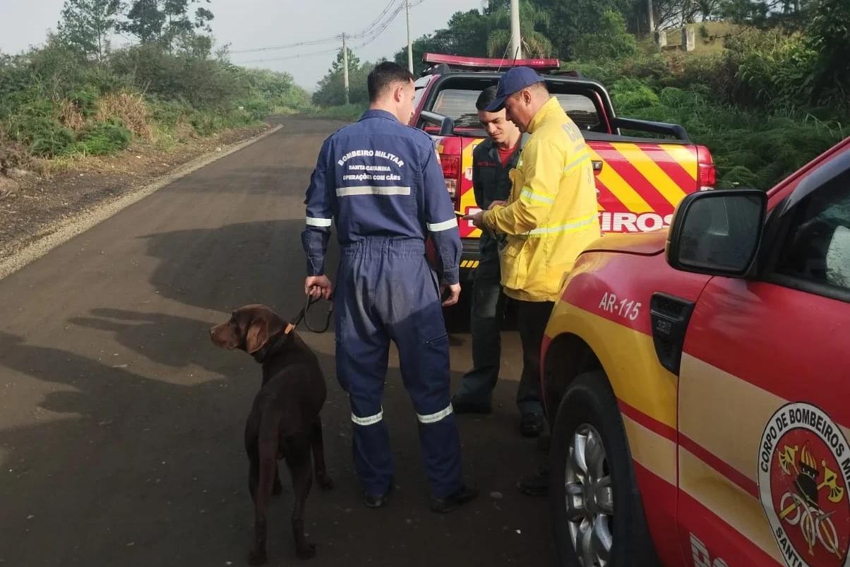 Bombeiros retomam buscas por idoso desaparecido nesta quarta-feira