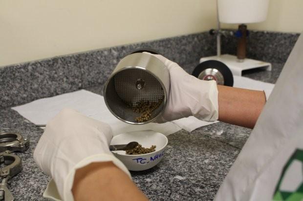 Fapesc lança edital de R$ 1,8 milhão para pesquisas relacionadas ao carvão mineral em SC