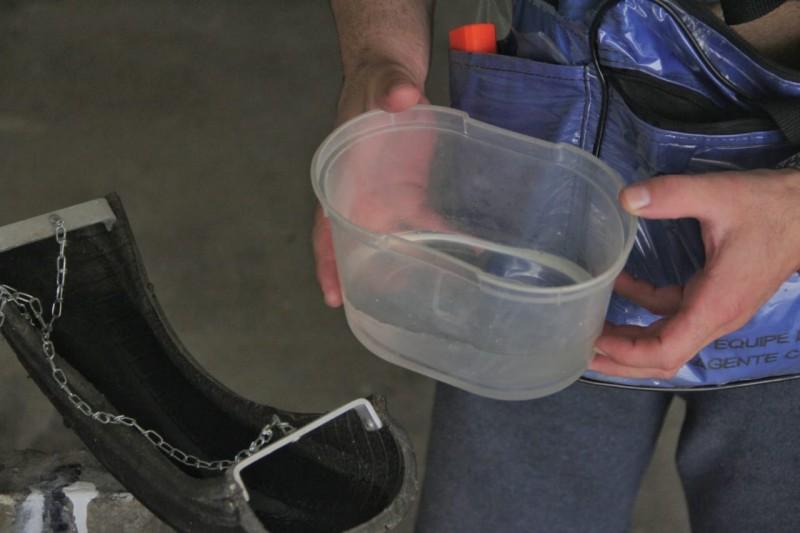Focos do mosquito da dengue são encontrados em Nova Veneza