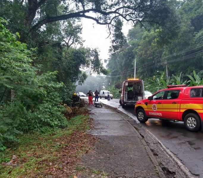 Carro fica preso em árvore após cair de ribanceira no morro do Caravaggio
