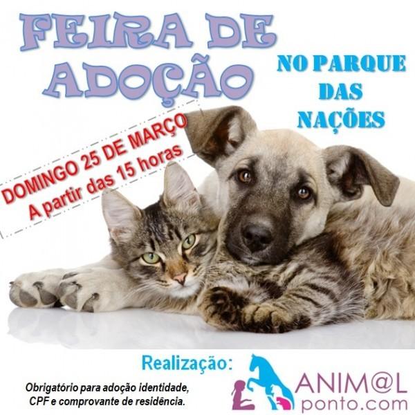 Feira De Adoção De Animais