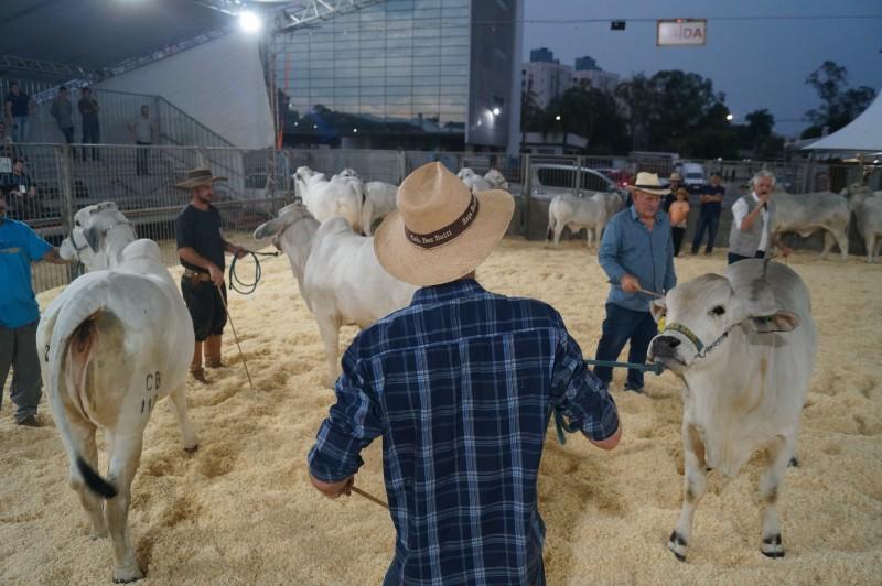 Com expectativa de receber 80 mil visitantes, AgroPonte inicia nesta quarta-feira em Criciúma