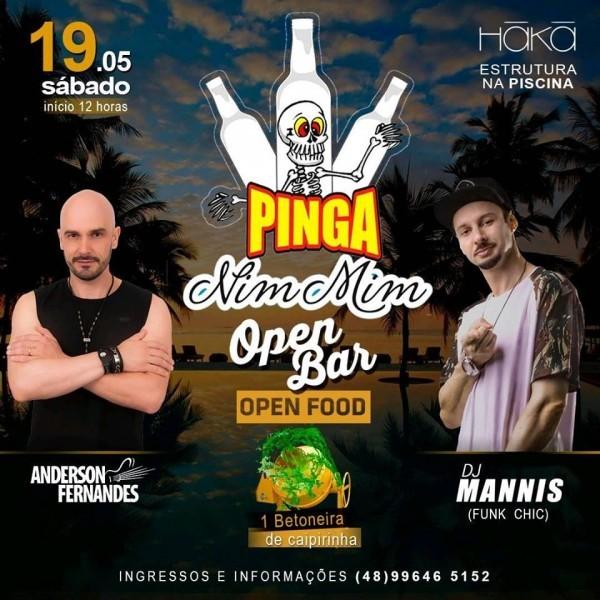Festa Pinga Nim Mim
