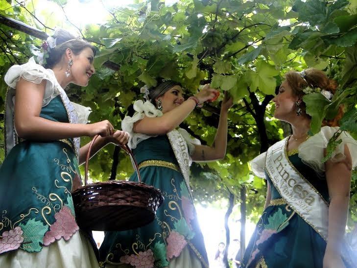 8ª Vindima Goethe acontece nesta quinta-feira