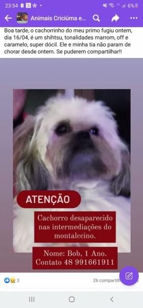 Procura-se Bob