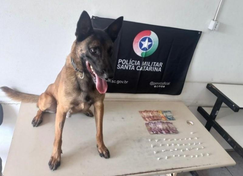 Mulher é presa em Araranguá após PM encontrar mais de 30 pedras de crack