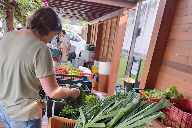 Morro da Fumaça: Feira da Agricultura Familiar não abrirá nesta quarta-feira