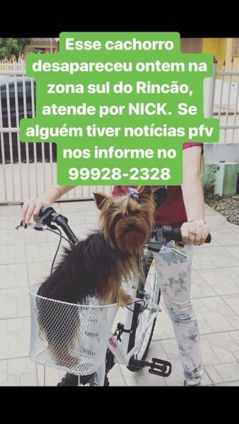 Procura-se Nick